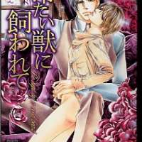  ����� Tsumetai Kemono ni Kawarete <small>Story & Art</small> 